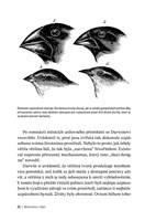 0051576518_Nekonecno-v-dladi_ukazka_04.j