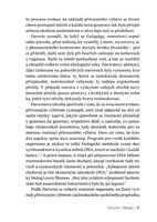 0051576518_Nekonecno-v-dladi_ukazka_05.j