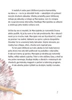 0022076810_marcipan_ma_velky_plan_B10211