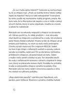 0022076810_marcipan_ma_velky_plan_B10211