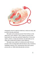 0022076810_marcipan_ma_velky_plan_B10211