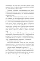 0020114457_noc_zeriava_B102L1F15538_list