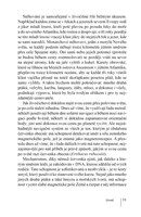 0049595527_zivot-na-hrane-A101V0F18746-l