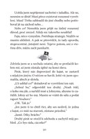 0055262917_emily-vichrna-a-piratsky-prin