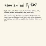 0056930907_pytlik-a-flaska-A10110F21193-