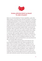 0020538065_strateny_zajko_na_Islande_B10