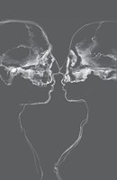 0021971401_labyrint_pohybu_A102V0F20978_