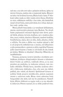 0019916067_restauracia_the_hills_B10221F