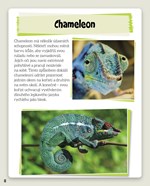 0054405482_neobycejna-zvirata-mistri-uni