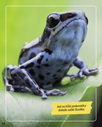 0054405482_neobycejna-zvirata-mistri-uni