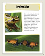 0054405482_neobycejna-zvirata-mistri-uni