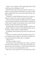 0043019305_temne-nadani-zarici-ruiny-a10