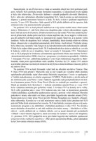 mezi-terstem-a-istanbulem-A101V0F20099-l