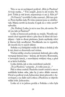 0059068112_magicka-zvirata-ptaci-triky-A