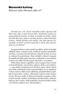 protoze-bloudime-mc-A101V0F20356-list-11