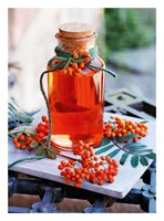 0058624810_khp0497-Domaci-vyroba-likeru-