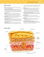 0055328055_khp0462-Cvicebnice-pro-studen