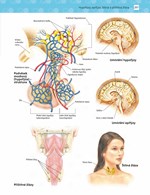 0055328055_khp0462-Cvicebnice-pro-studen