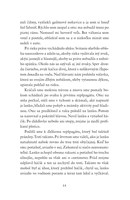 0022076667_evanjelium_o_uhoroch_B102L1F1