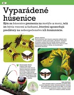 0058129088_neuveriteny-svet-zvierat-b102