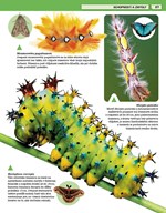 0058129088_neuveriteny-svet-zvierat-b102