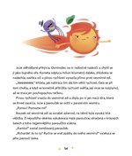 0058598538_vesmirne-putovani-komety-juli