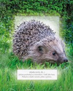 0058920394_001-024_FFP_NTAS_Interior_Alb