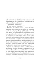 0022092975_strieborna_cesta_B102L1F15974