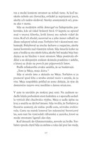 0022092975_strieborna_cesta_B102L1F15974