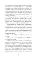 0022092975_strieborna_cesta_B102L1F15974