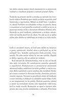 0022092975_strieborna_cesta_B102L1F15974