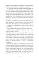 0022092975_strieborna_cesta_B102L1F15974