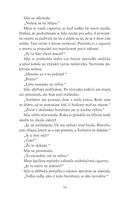 0022092975_strieborna_cesta_B102L1F15974