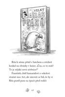 0059539899_npssk-poraneny-sokol-a101f0f2