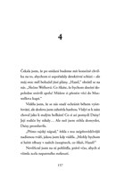 0058576525_zahada-zamceneho-kupe-pripady