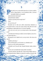 0022262909_maly_princ_B102L1F16055_list_