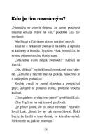 0049973797_klub-tygru-mumie-za-volantem-