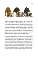 0058721574_Inteligentni hry pro vaseho p