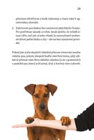 0058721574_Inteligentni hry pro vaseho p