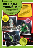 0064474591_billie-eilish-neoficialni-SK-