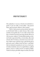 0061496993_A101C0N13837-Neviditelni-zide