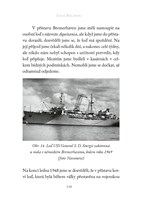 0061496993_A101C0N13837-Neviditelni-zide