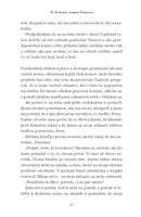 0022225938_ty_krasna_temna_vanessa_B102L