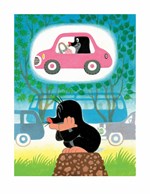 0067782303_krtek-a-auticko-A10110F23859-