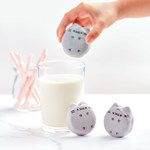 0066443321_Pusheen pece_sk_strana_025.jp