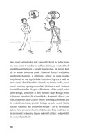 0067633899_zbok005882-zapisnik-cholerika