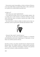 0070630369_dobrodruh-z-panelaku-list4.jp