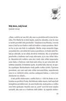 0022754540_zapisnik_alkoholicky_B102L1F1