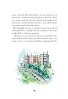 0023538362_B10211F16428-mami-kup-mi-psa-