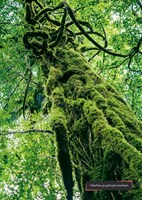 0063704045_A101C0N13946_dominika-japonsk